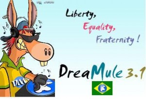 dreamule11