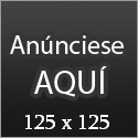 El gurú informático