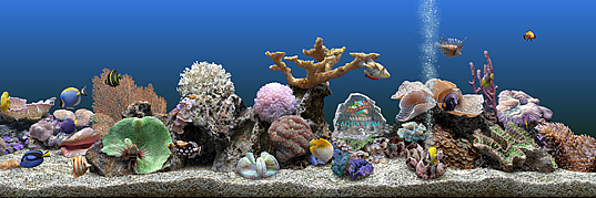 Pecera virtual Marine Aquarium 3