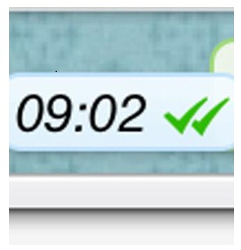 El doble check de Whatsapp 